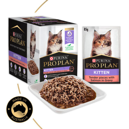 PROPLAN CAT KITTEN SALMON & RICE 3.5LB