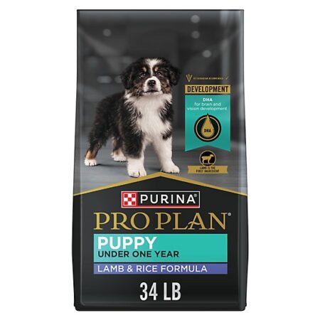 PROPLAN  FOCUS PUPPY LAMB & RICE 18LB
