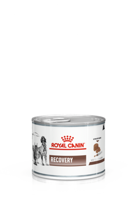 ROYAL CANIN RECOVERY FEL CAN CAN X 195 GR