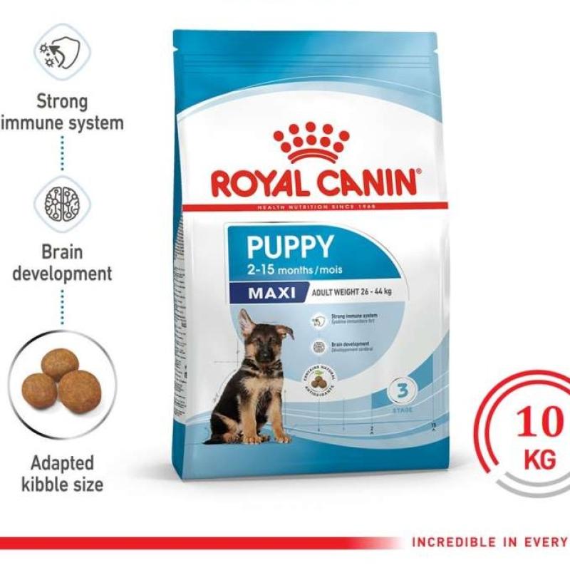 ROYAL CANIN MAXI PUPPY 10 KG