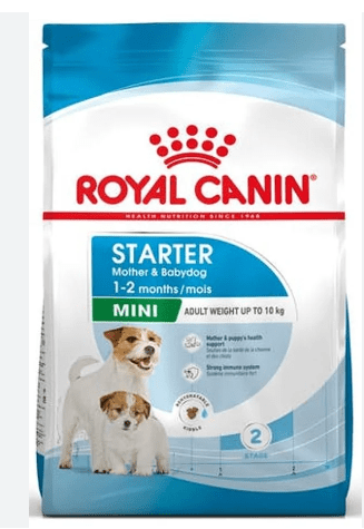 ROYAL CANIN MINI STARTER M&B 4 KG
